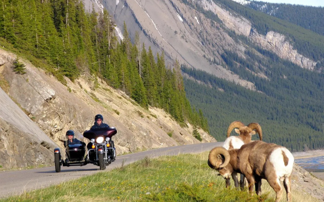Mount Robson Inn