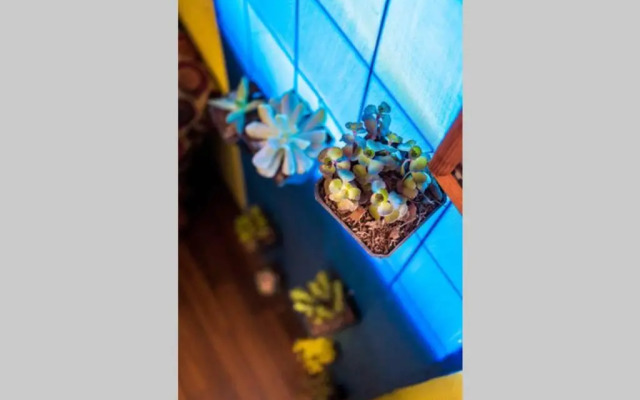 Nice full apartment, downtown on foot