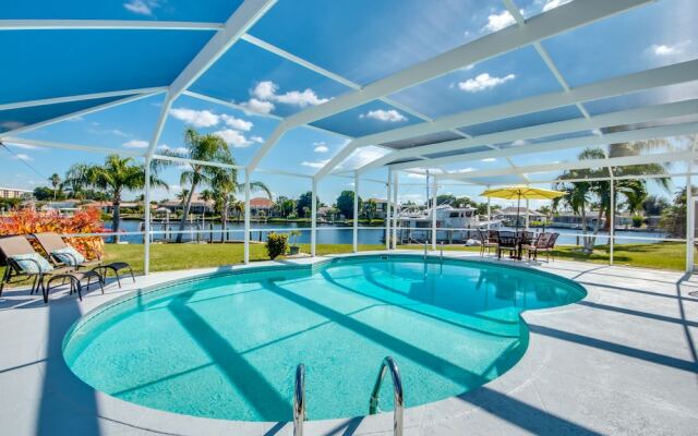 All About The Dolphins - Roelens Vacations