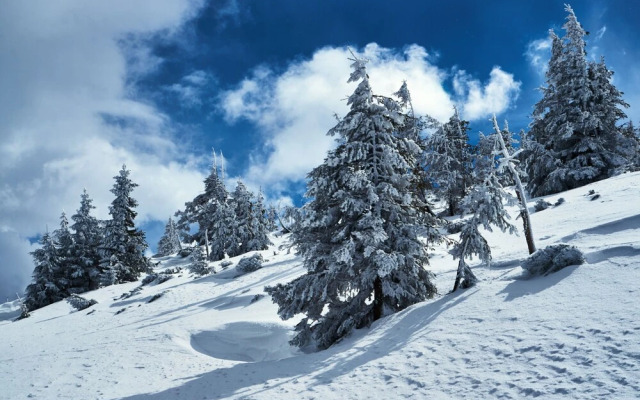 Cihlarka Mountain View Apartment