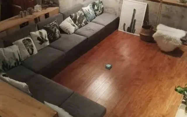 Meow Houzzz