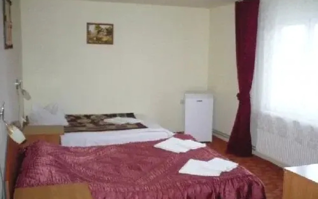 Pensiunea Iedera