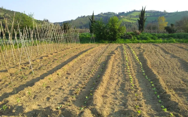 Ca' di Ballo