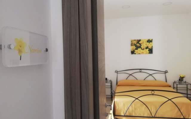 IL GIARDINO (The garden)