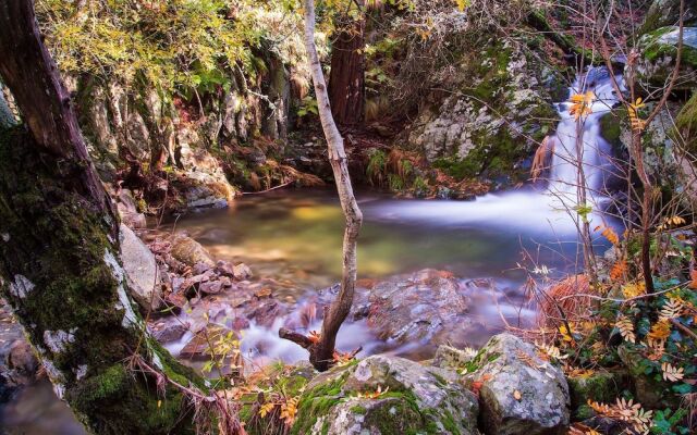 Fonte D Rosa - Belmonte