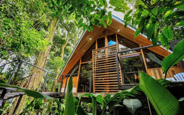 Tityra Lodge