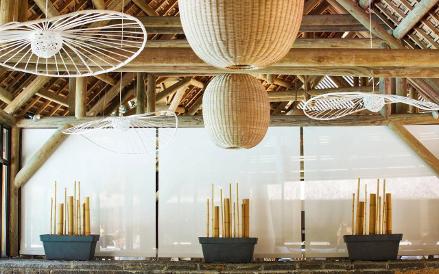 Lagoon Attitude - Adults Only