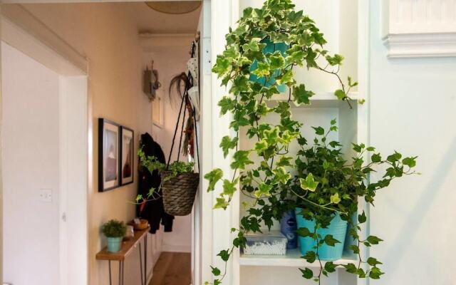 Bright and Airy Apartment in Canonmills