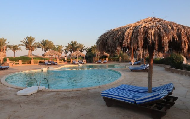 Sharm El Naga Resort and Diving Center