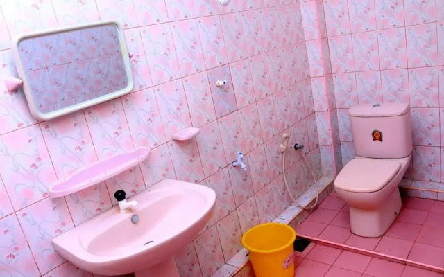 Gandhi Guest House & White Palace