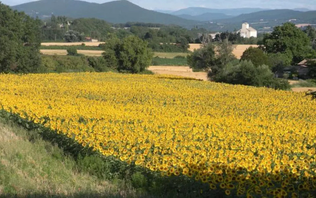 Gîte Le Mas des Lavandières