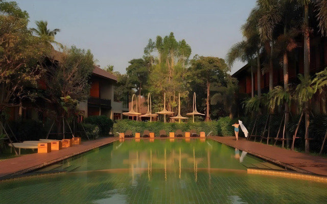 The Buffalo Amphawa (SHA Plus)