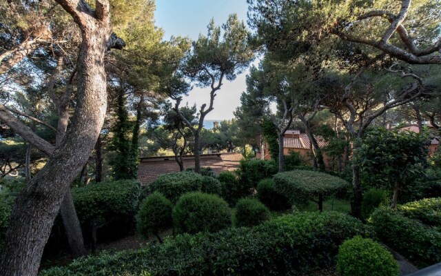 Sinfonia Toscana: Natura e Arte