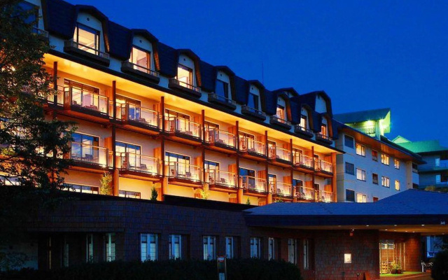 Tokachigawa Onsen Daiichi Hotel Hoshutei Toyotei — 3-star hotel in Otofuke