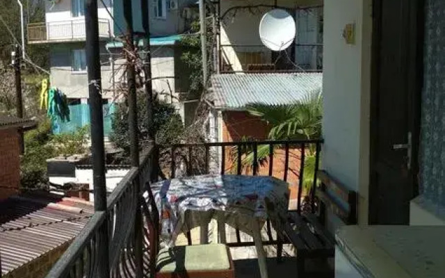 Pod palmoj
