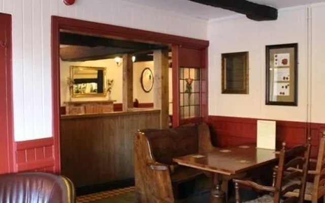 The Plume of Feathers