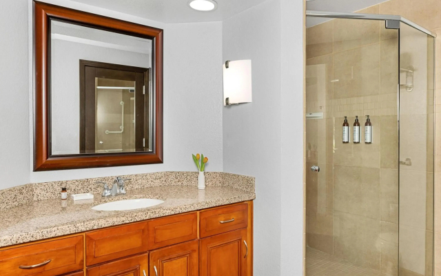 Marriott's Desert Springs Villas I