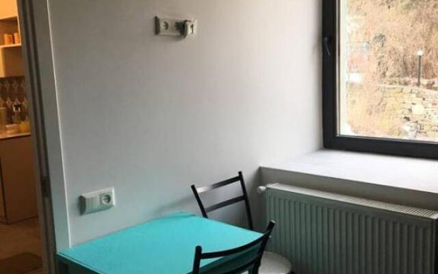 Apart Pasanauri - Apartament Pasanauri rjadom s Garden otel'