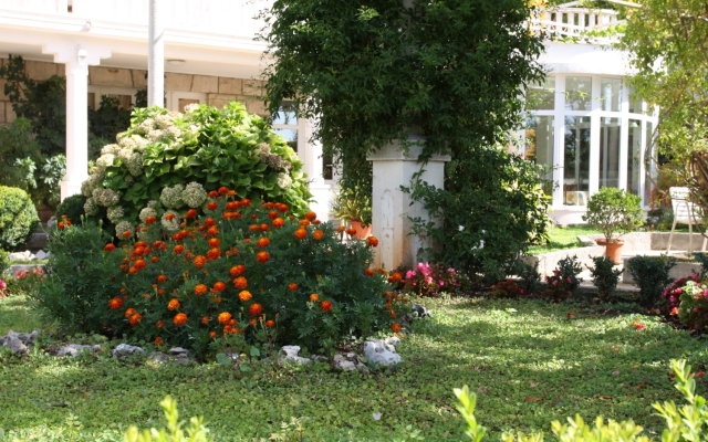Room Nikola1 - free parking R4 Mlini, Riviera Dubrovnik