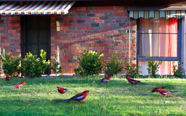 Crimson Villa