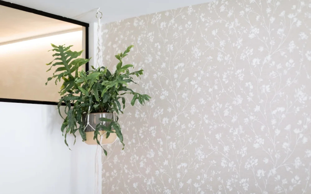 Urban Jungle Apartments