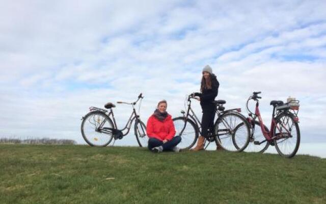 Reetdachhaus Deichkrone