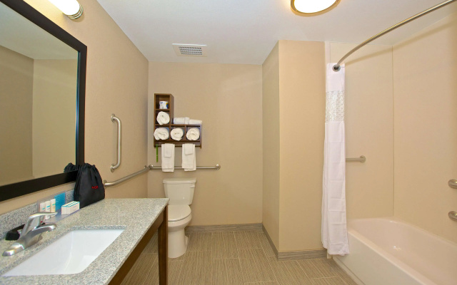 Hampton Inn Atlanta McDonough