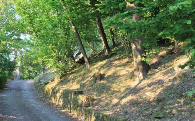 Il Glicine e La Lanterna