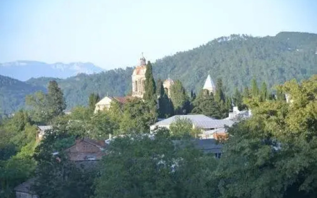 Hotel Jachvis Khidi