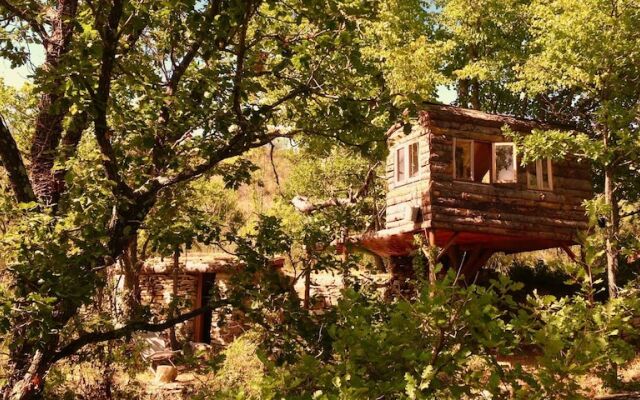 Wild Boar Mountain - France