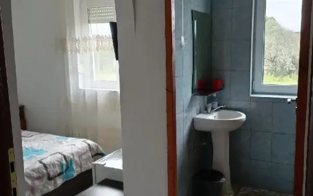 Vila Oltenilor