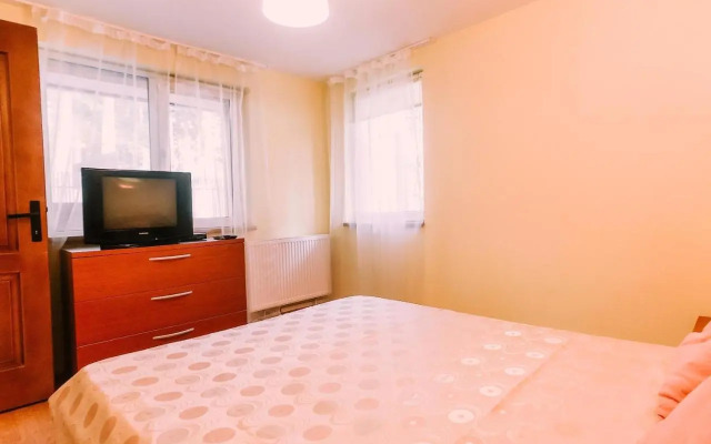 Spacious Apartment near Peles