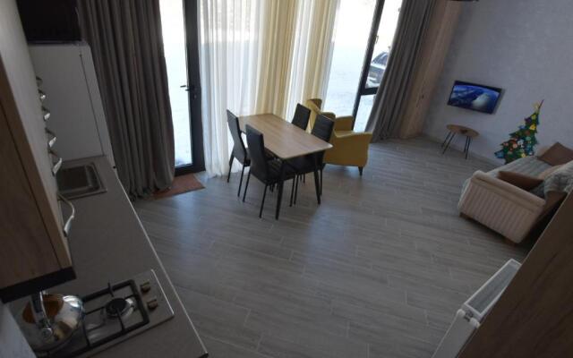 Bakuriani Didveli Residence C 16