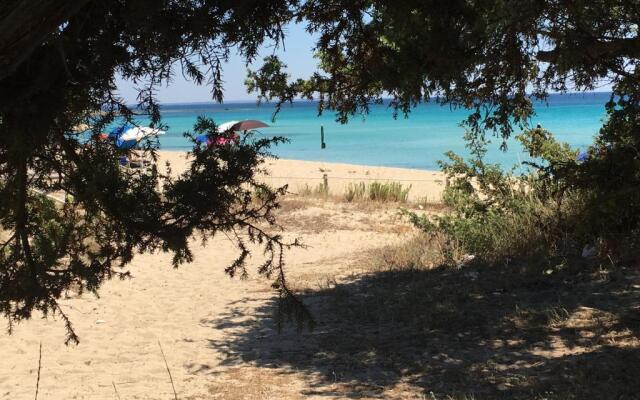 Punta Prosciutto apartments to rent