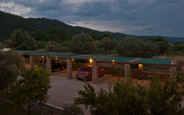 Sofia's House