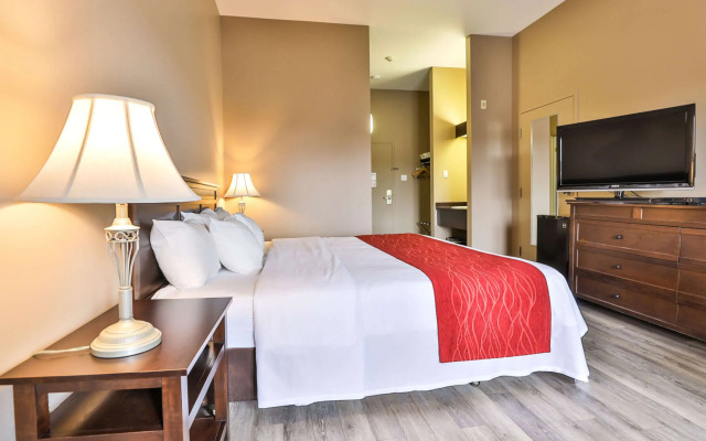 Comfort Inn and Suites St Jerome