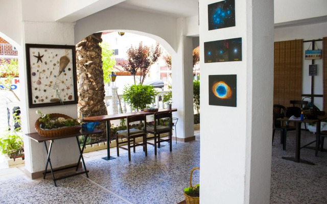 Dionisos Palms