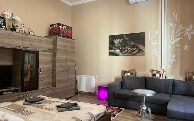 Downtown Apartment