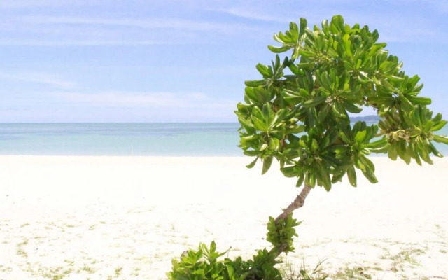 Nest Hotel Ishigaki Maesato Beach