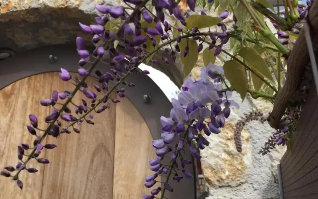 villalithos studio 2