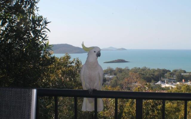 Whitsundays Rainforest Retreat