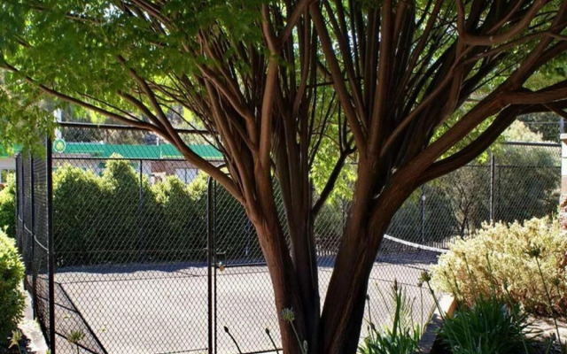 Nelsons of Bridgetown