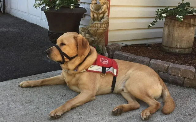 Wyndhaven Cottage Bed & Breakfast