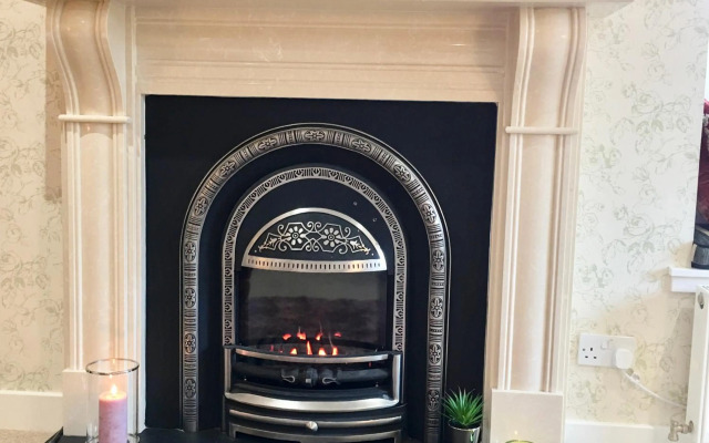 The Little Beech Tree