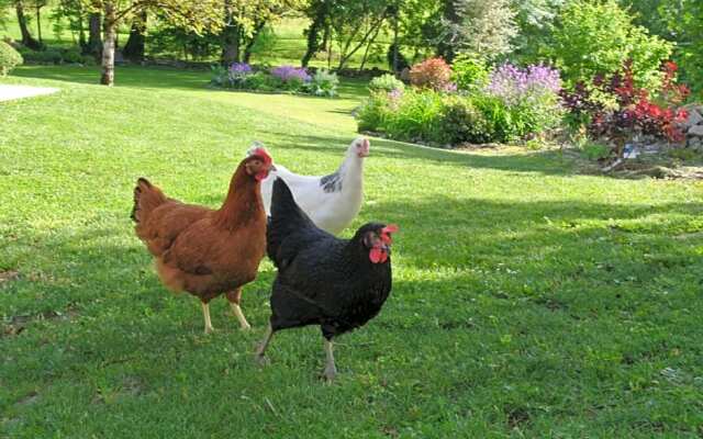 Au jardin de la Bachellerie