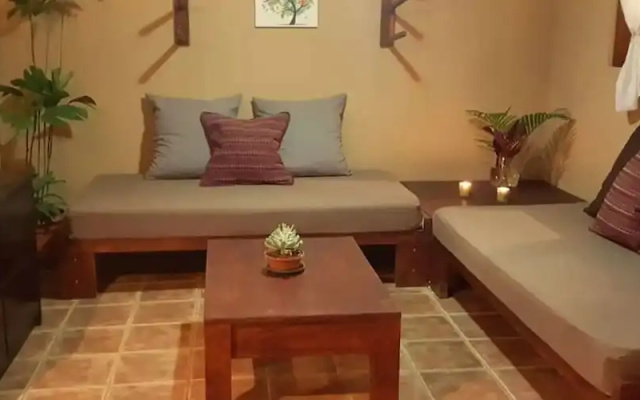 Piña Flat Santa Teresa