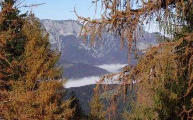 Bauernhof Steinlehen