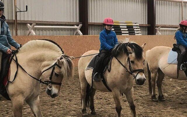 Reit- Und Ferienhof Maack