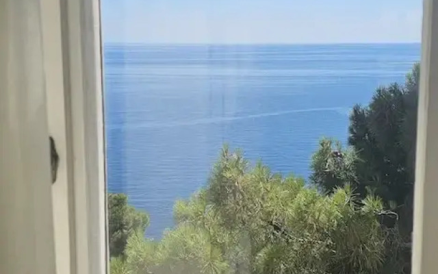 Dubrovnik Hotel Akademis Čingrija