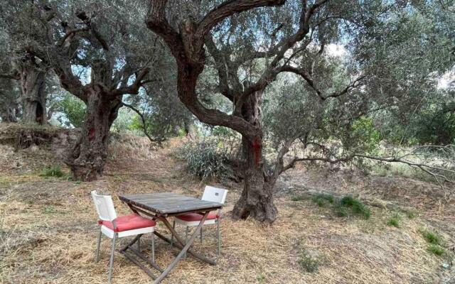 Tent by the sea, private toilet and kitchenette